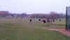 Drive In 05 (23).jpg (46463 bytes)